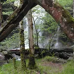 La Torre Albergue