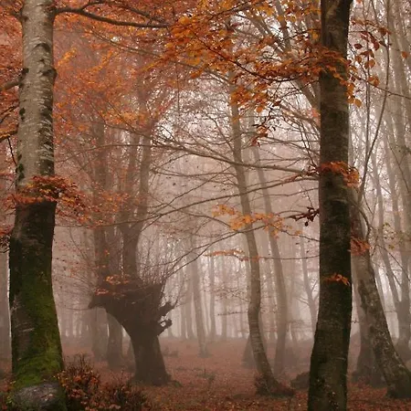 Hostel La Torre Santiurde de Reinosa