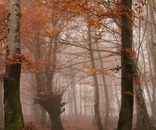 Hostel La Torre Santiurde de Reinosa